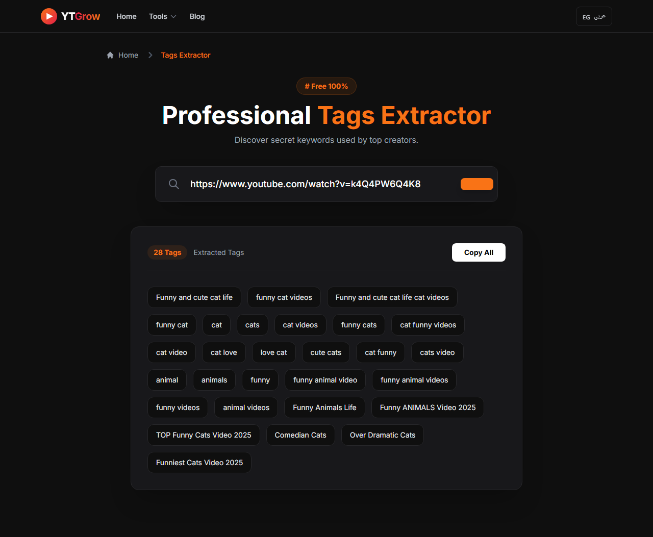Professional YouTube Tags Extractor